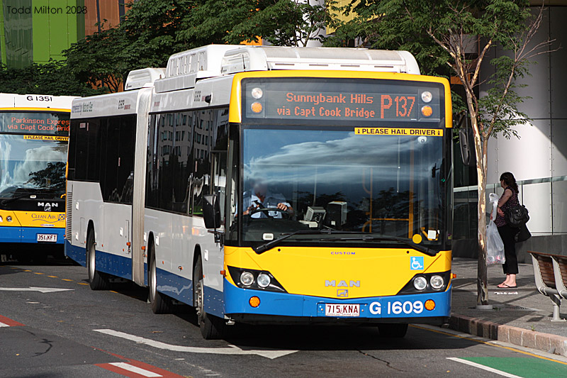 Translink bus